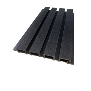 WPC wandpanelen kleur Black